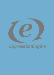 Pros and Cons of Using ExpressionEngine's Default Stylesheet Parser